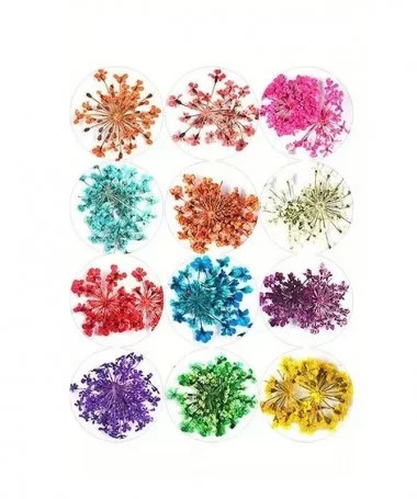 دیزاین گل خشک ناخن