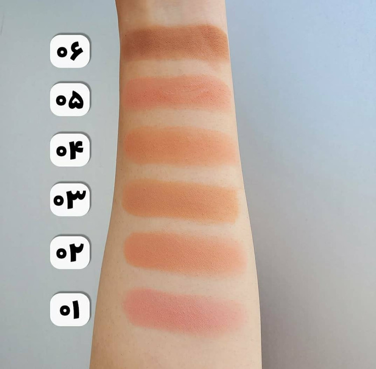 رژگونه تک رنگ کالر اند آرت کالیستا Callista Color(6028)and Art Blush کد B01